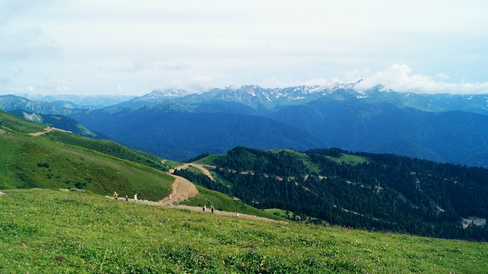 green grass field and mountains during daytime