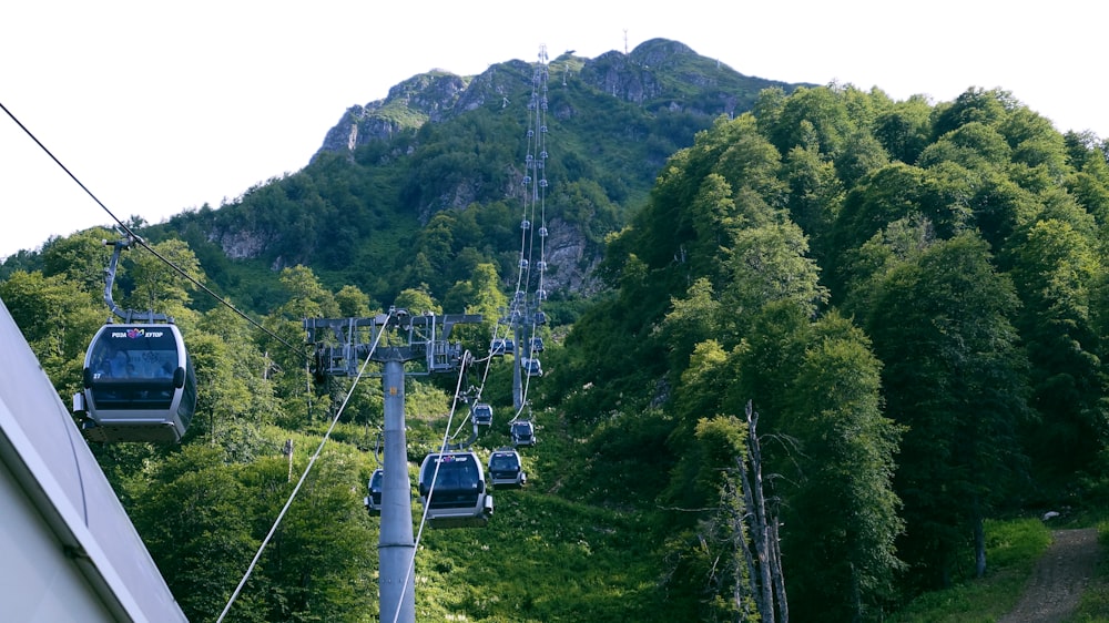 cable car over green trees during daytime