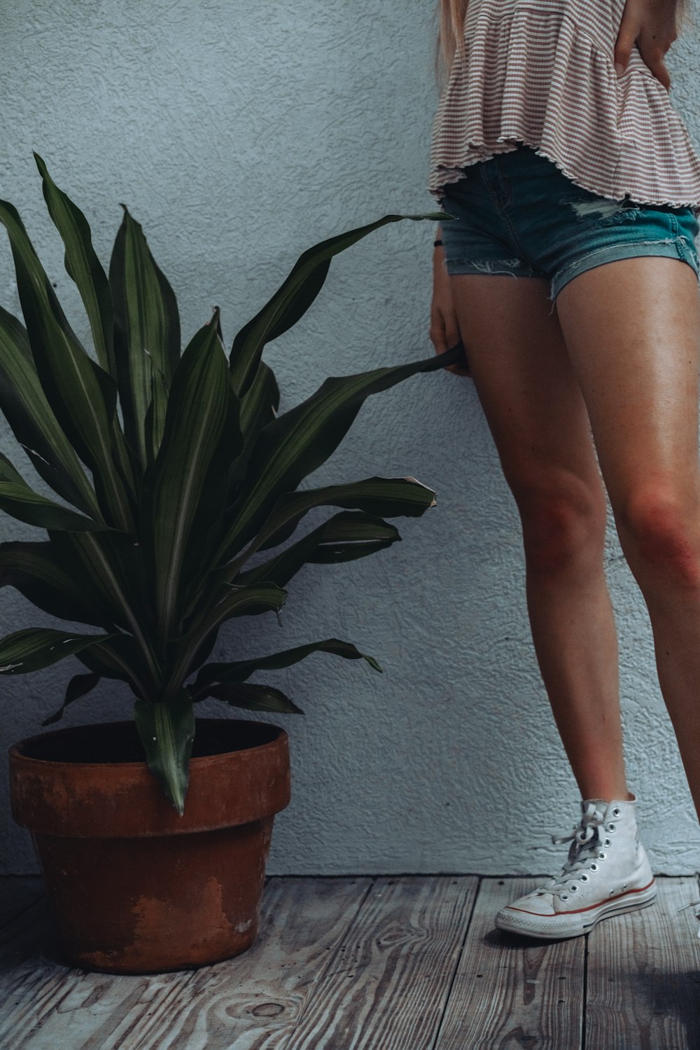 woman in blue denim shorts and white sneakers standing beside green plant