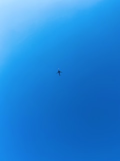 An inspiring image of a successful pilot celebrating their first flight.