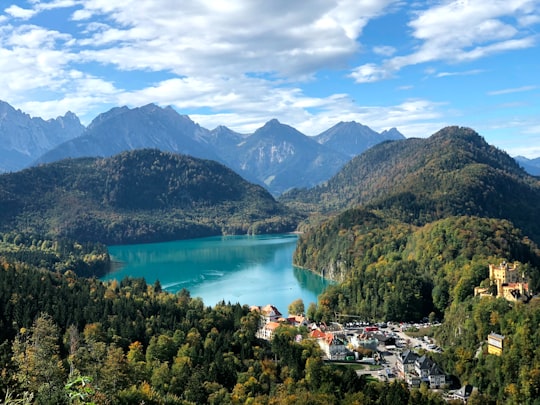 green trees near lake under blue sky during daytime in Hohenschwangau Castle Germany