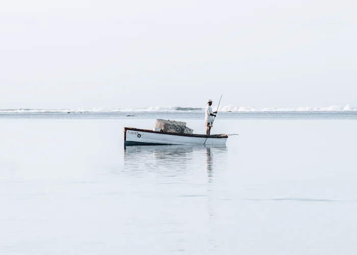Embarcations de pêche artisanale au large des côtes sénégalaises