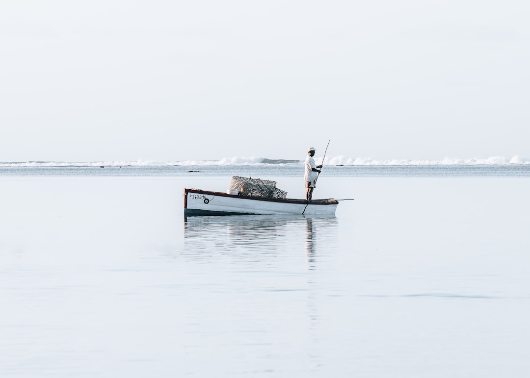 Cruising the Bou el Mogdad: Discovering Senegal's River Life - Fish… — Cruising the Bou el Mogdad