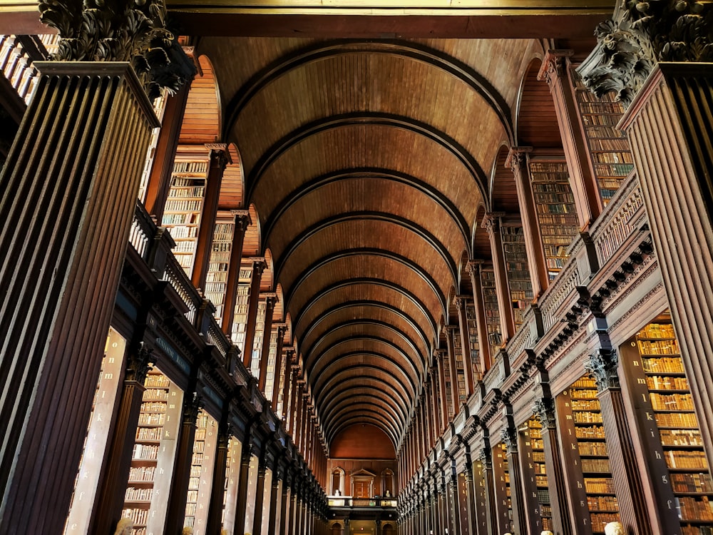 brown wooden shelves in library