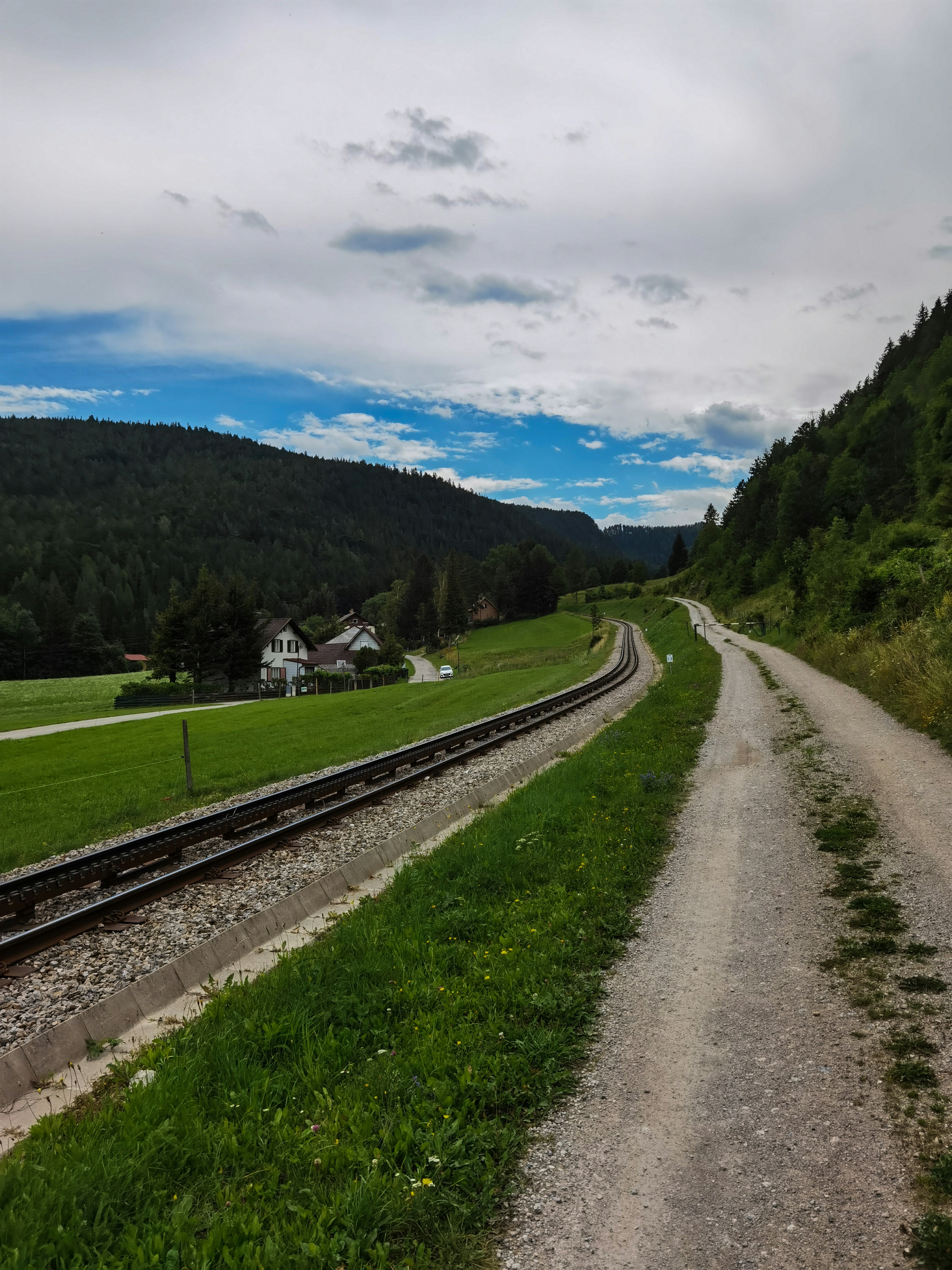 Grünes Grasfeld in der Nähe von grünen Bäumen unter blauem Himmel während des Tages