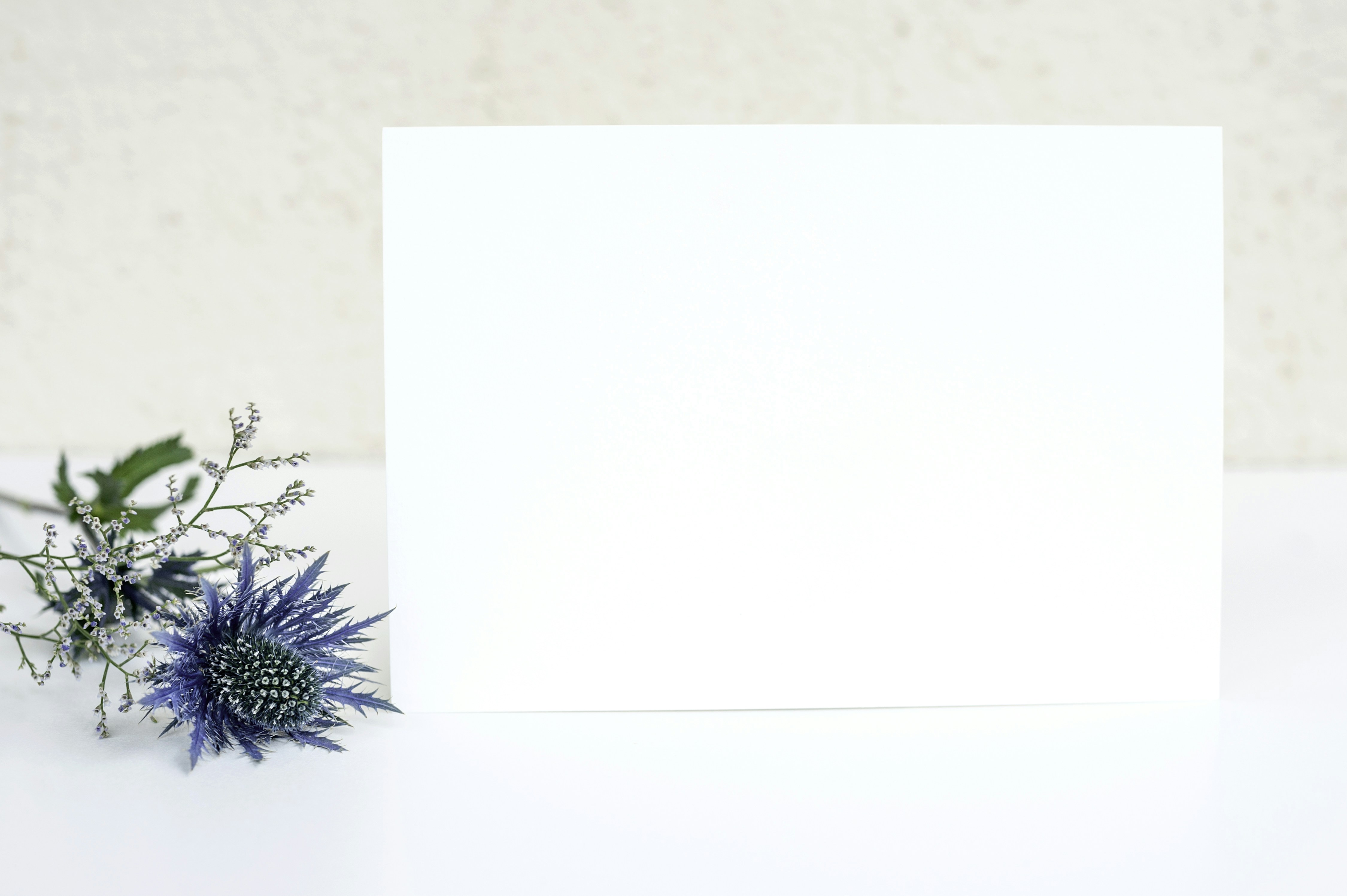 Blue thistle Mockup