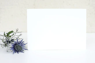 A clean, minimalist card showing a colorful Canva template preview on a light blue background.