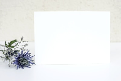 A minimalistic setting featuring a blank white card or paper standing upright against a soft, textured background. To the left of the card, there is a small arrangement of delicate flowers, with a prominent purple thistle-like bloom surrounded by fine, leafy greenery.