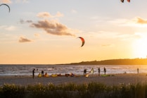 people on beach during sunset