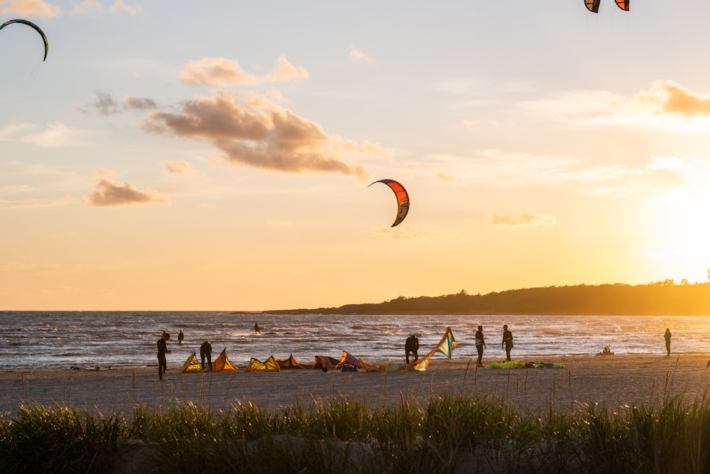 people on beach during sunset