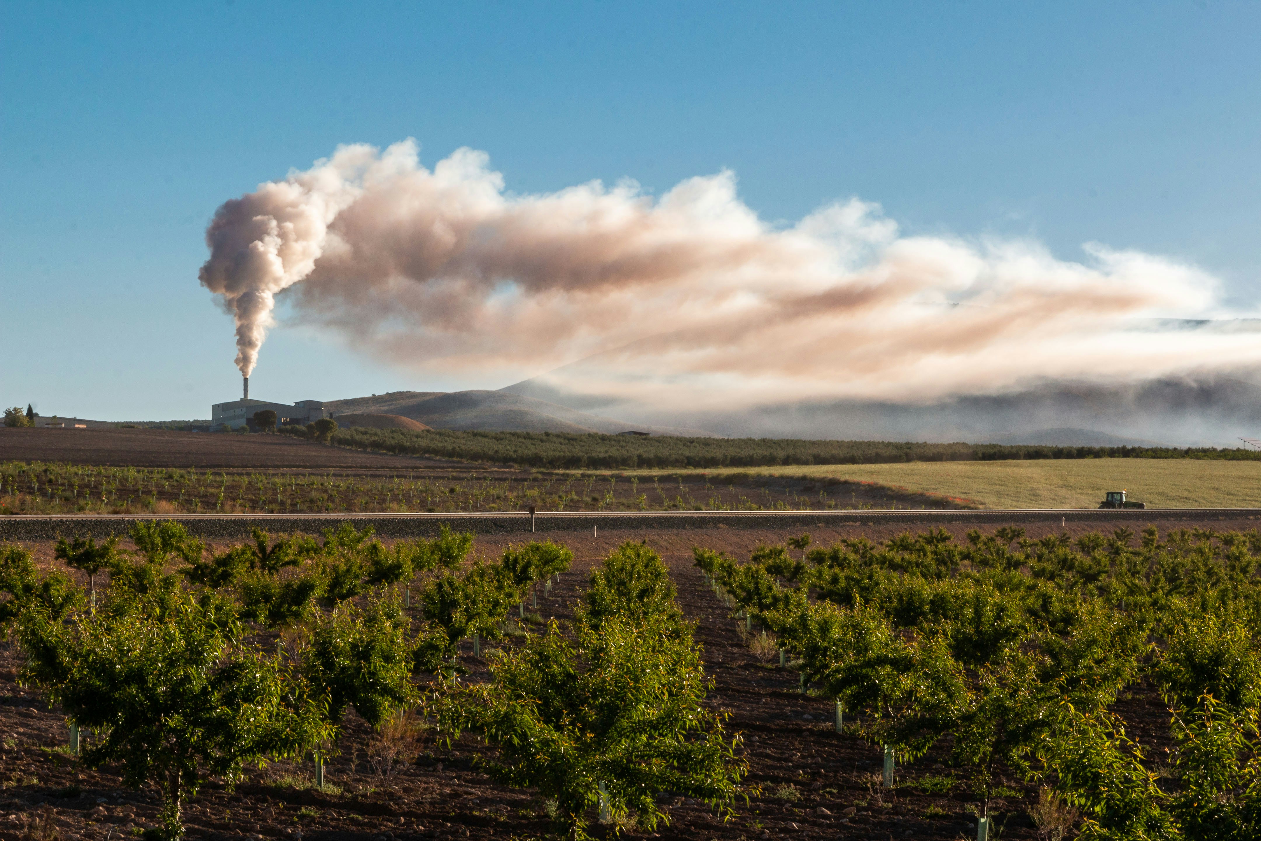 green trees under white clouds and blue sky during daytime