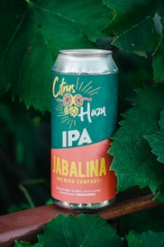 A can of Jabalina Brewing Company's Citrus Hazy IPA is surrounded by lush green leaves. The can features colorful and bold typography with images of citrus slices above the word 'Hazy'. The top of the can is silver, and it rests on a wooden surface.