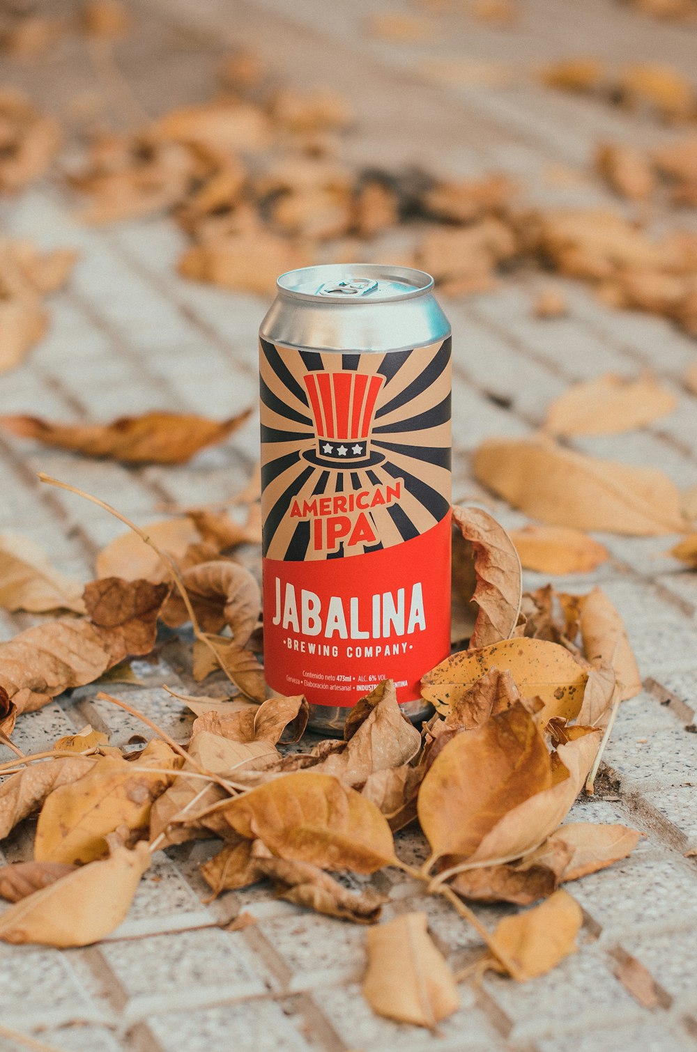 red and white can on dried leaves