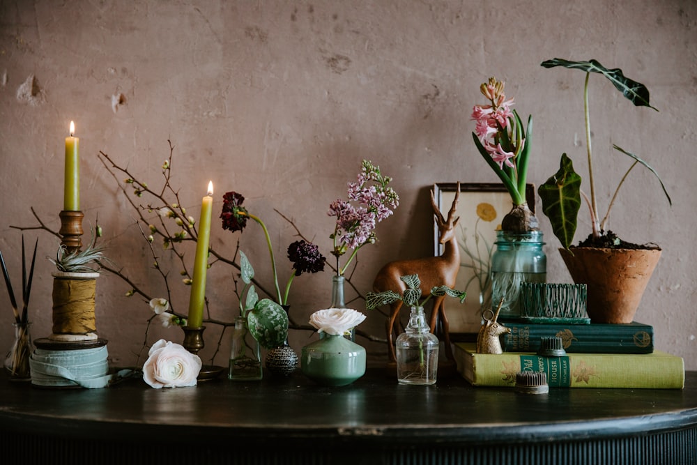 pink and green flower in clear glass vase