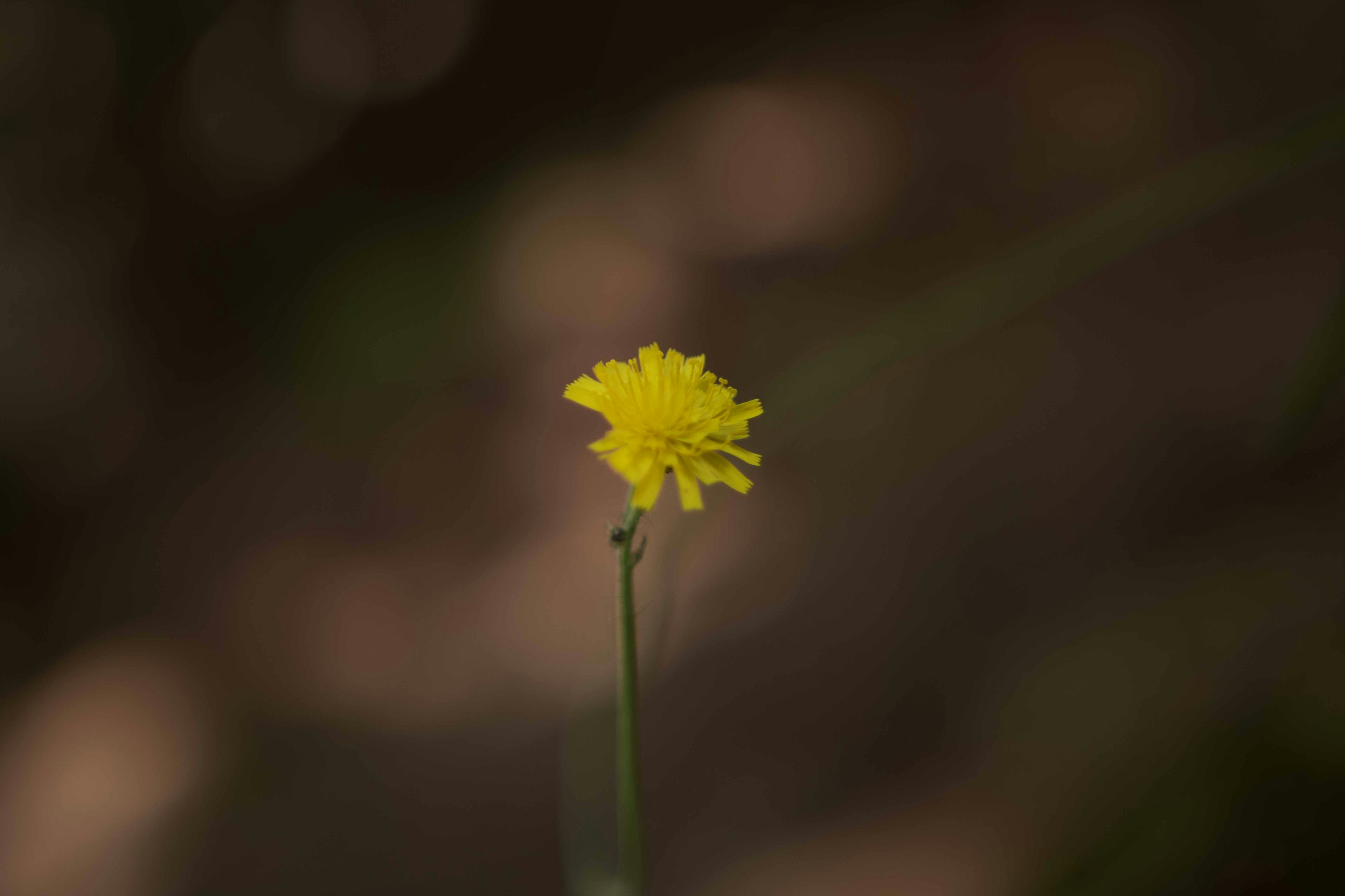Photo by liam_1