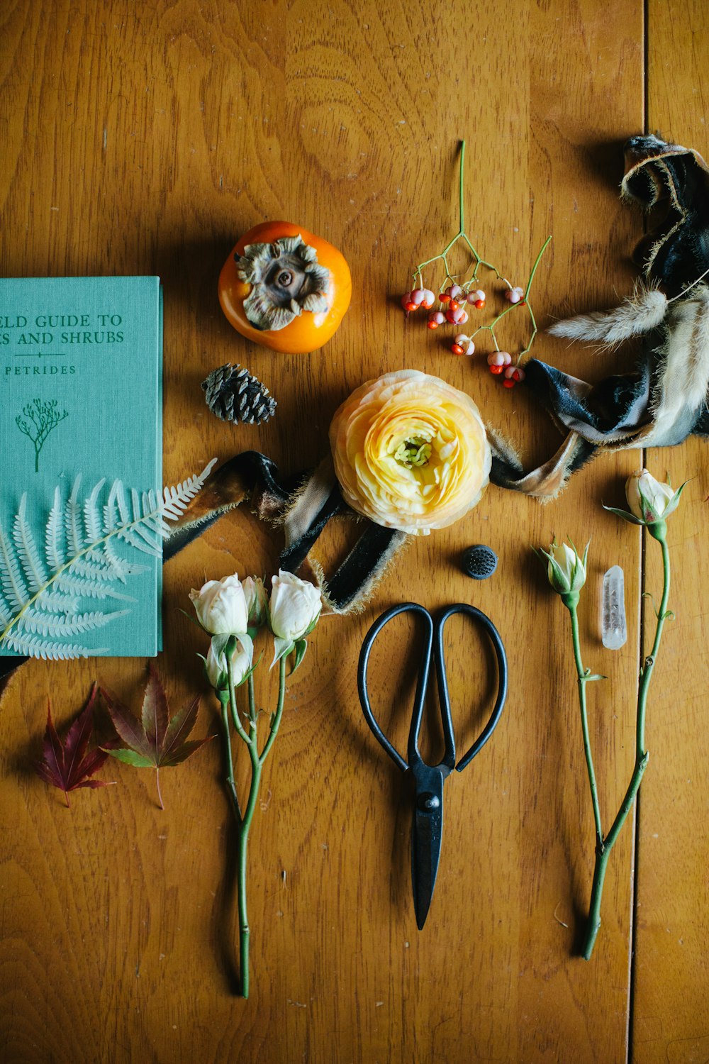 black handled scissors beside yellow flower