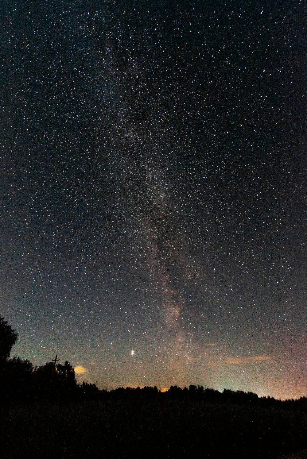 silhouette of trees under starry night