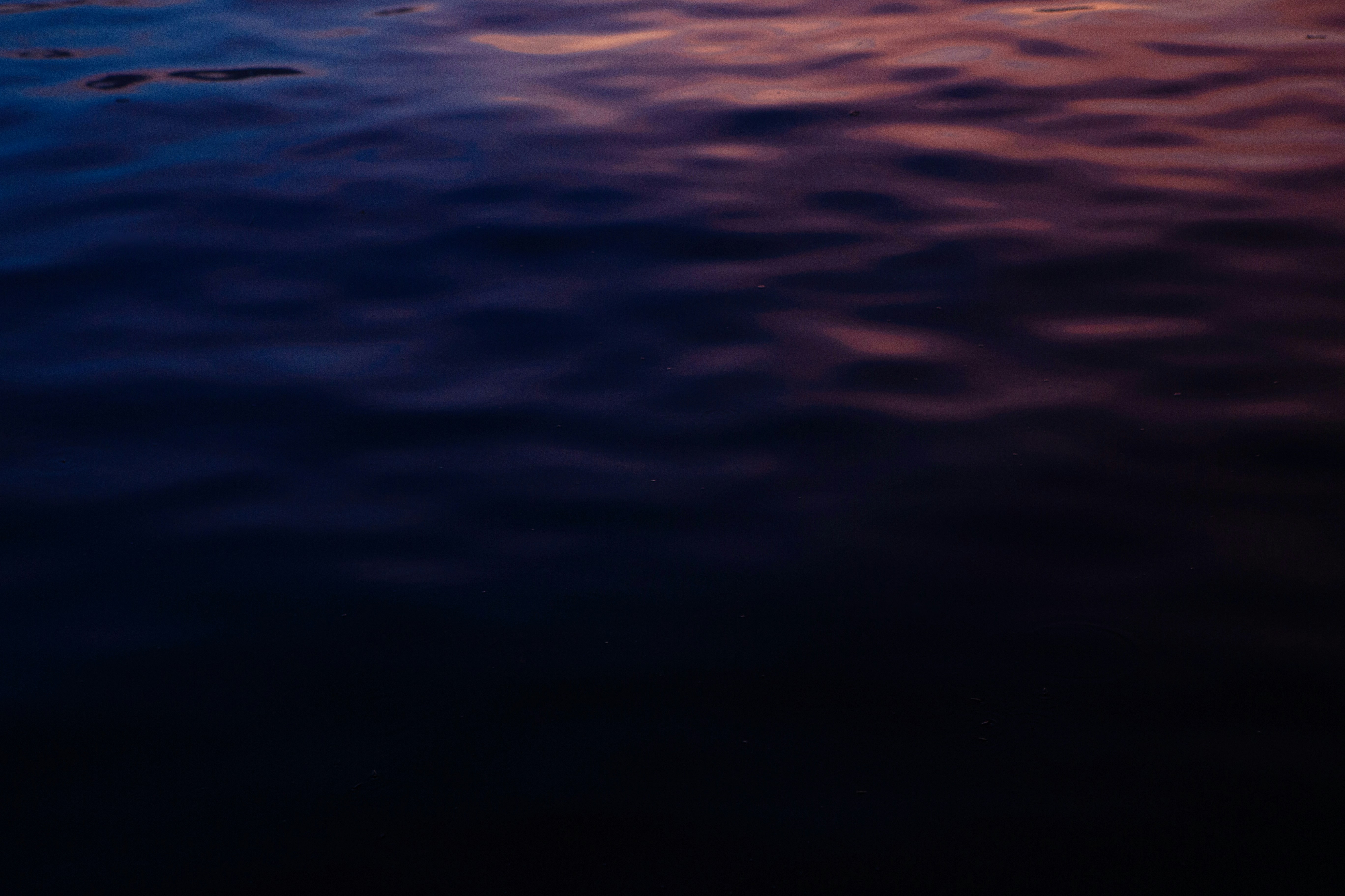 Photo by vinomamba24