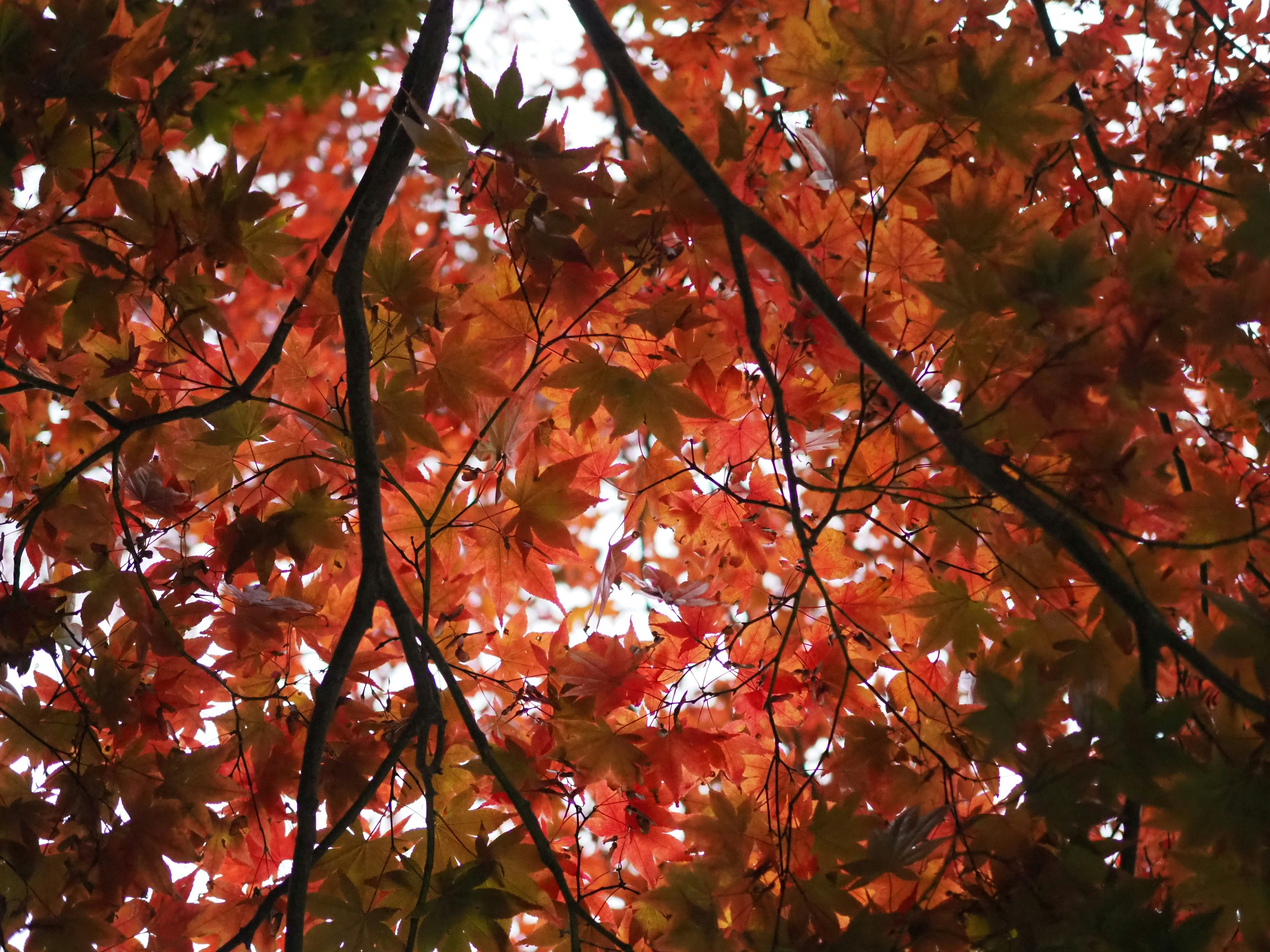 Photo by alia_takes_pics