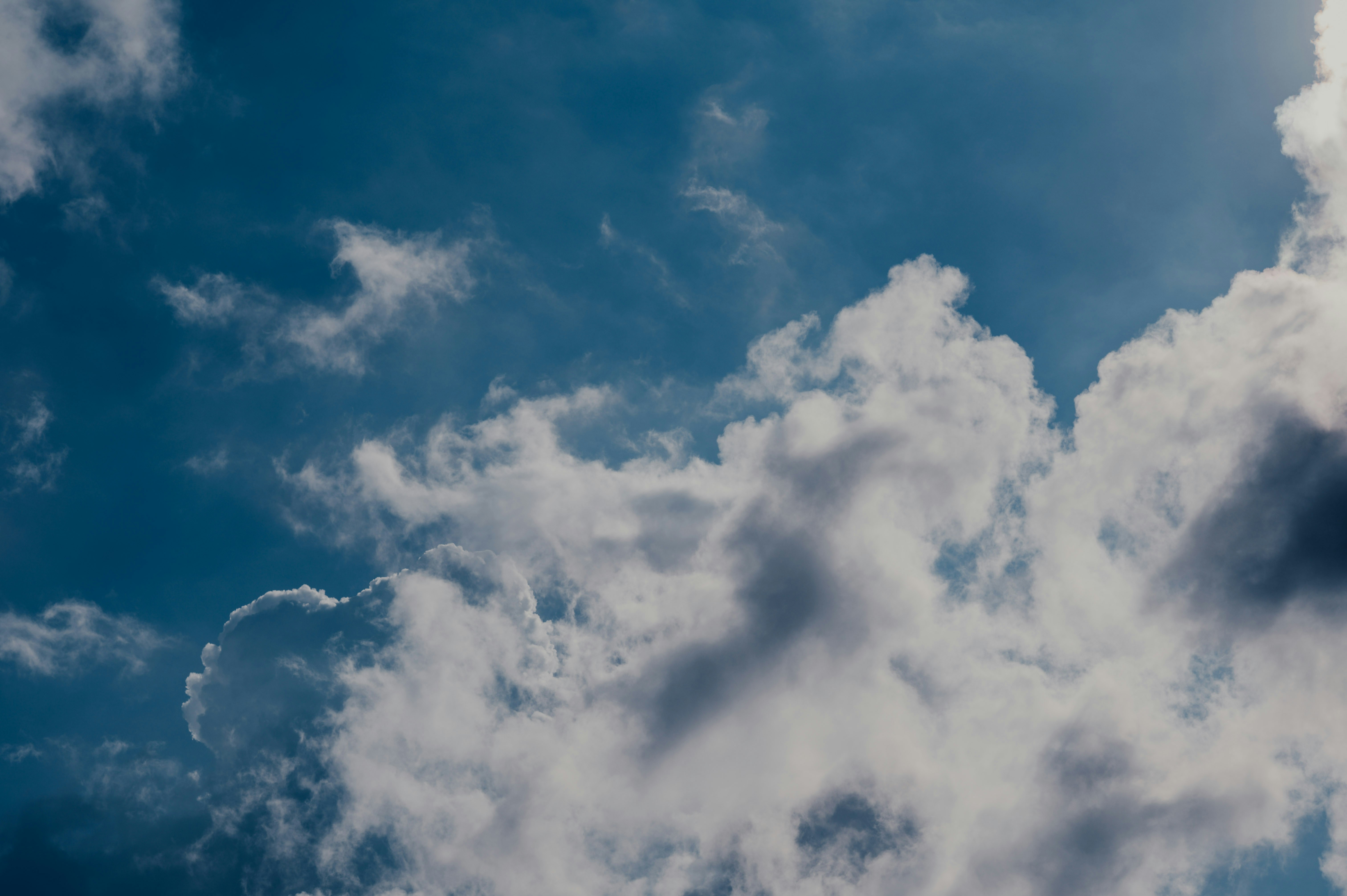 Photo by chuttersnap