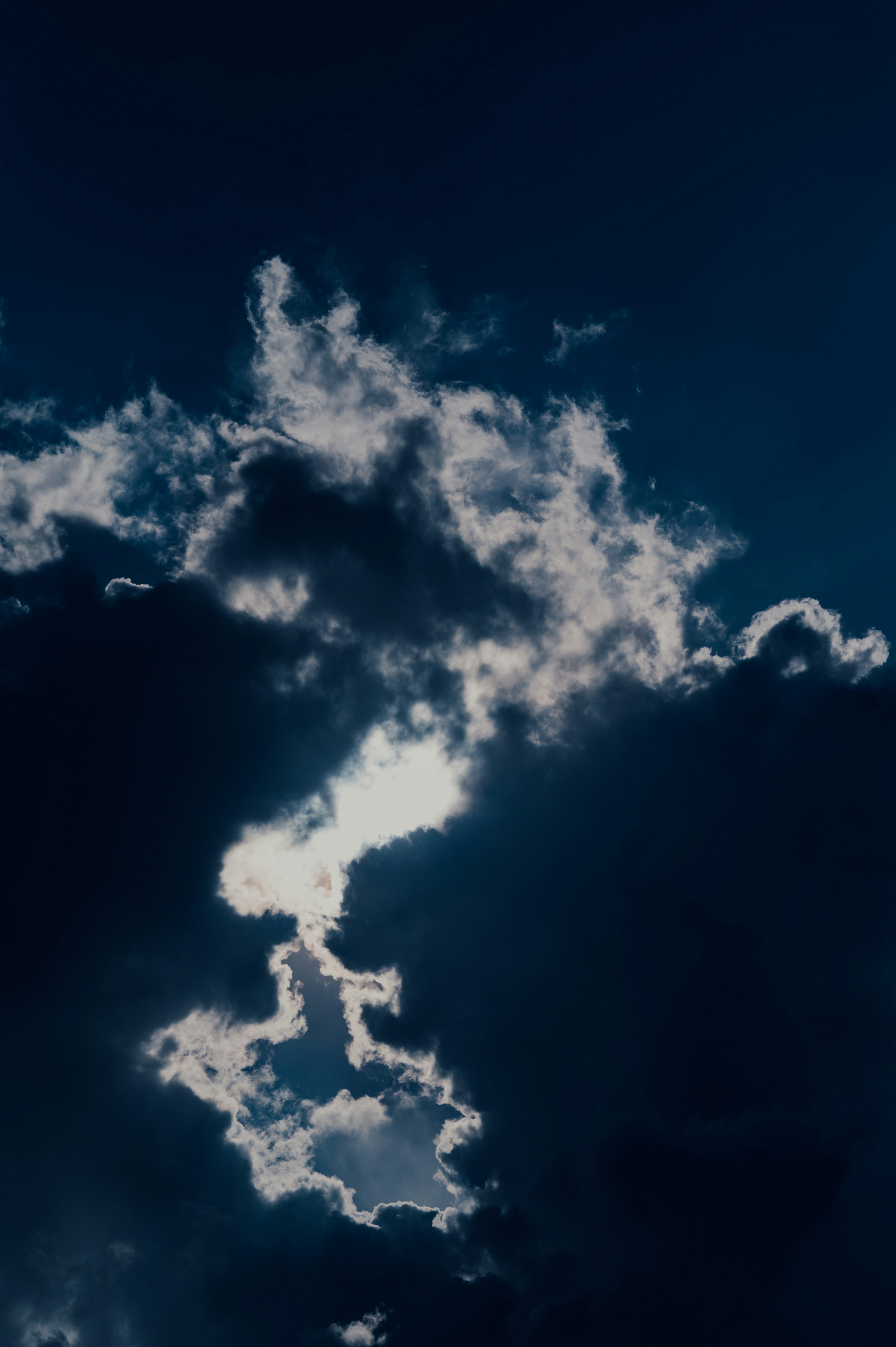 Photo by chuttersnap