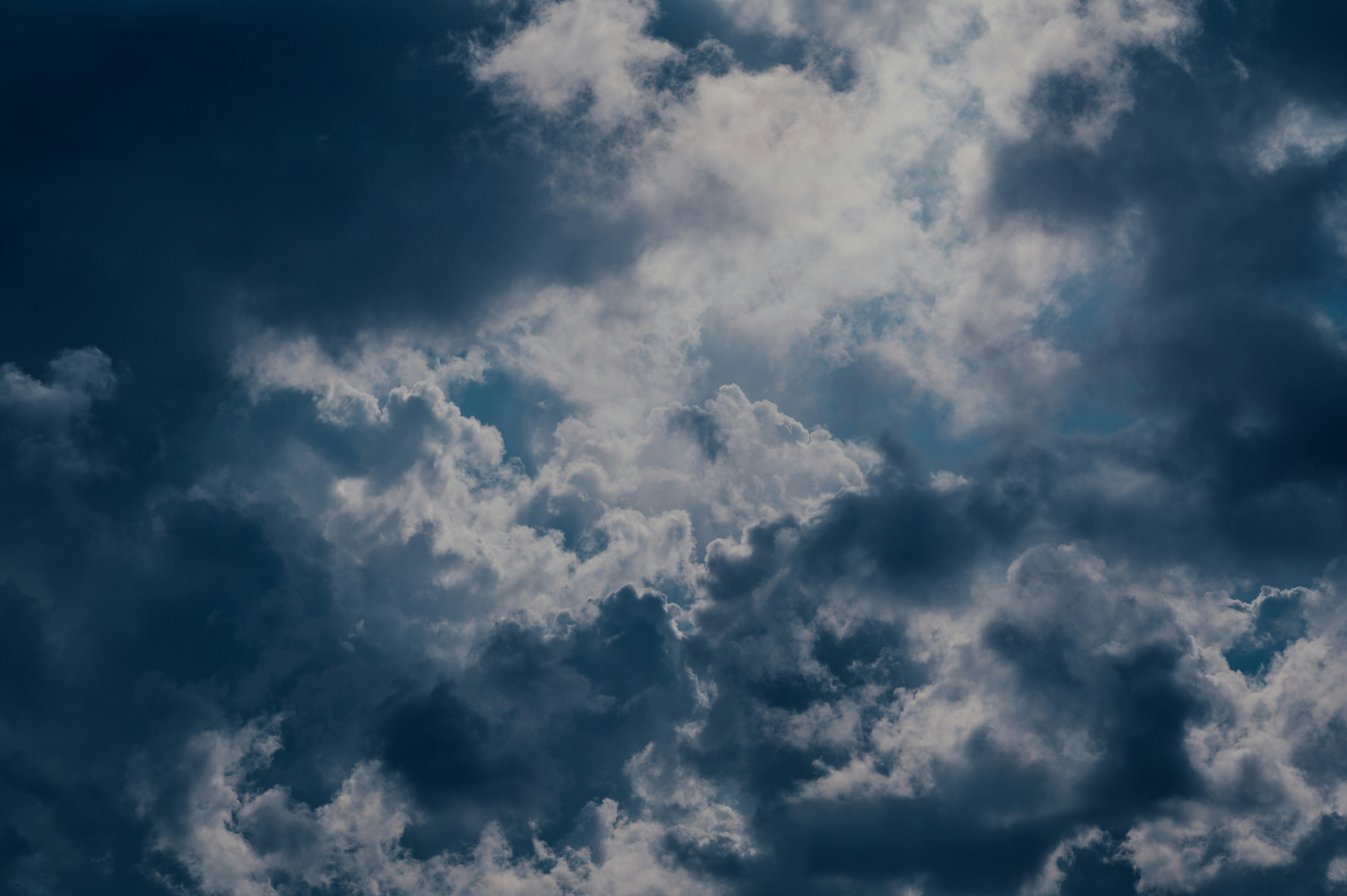 Photo by chuttersnap