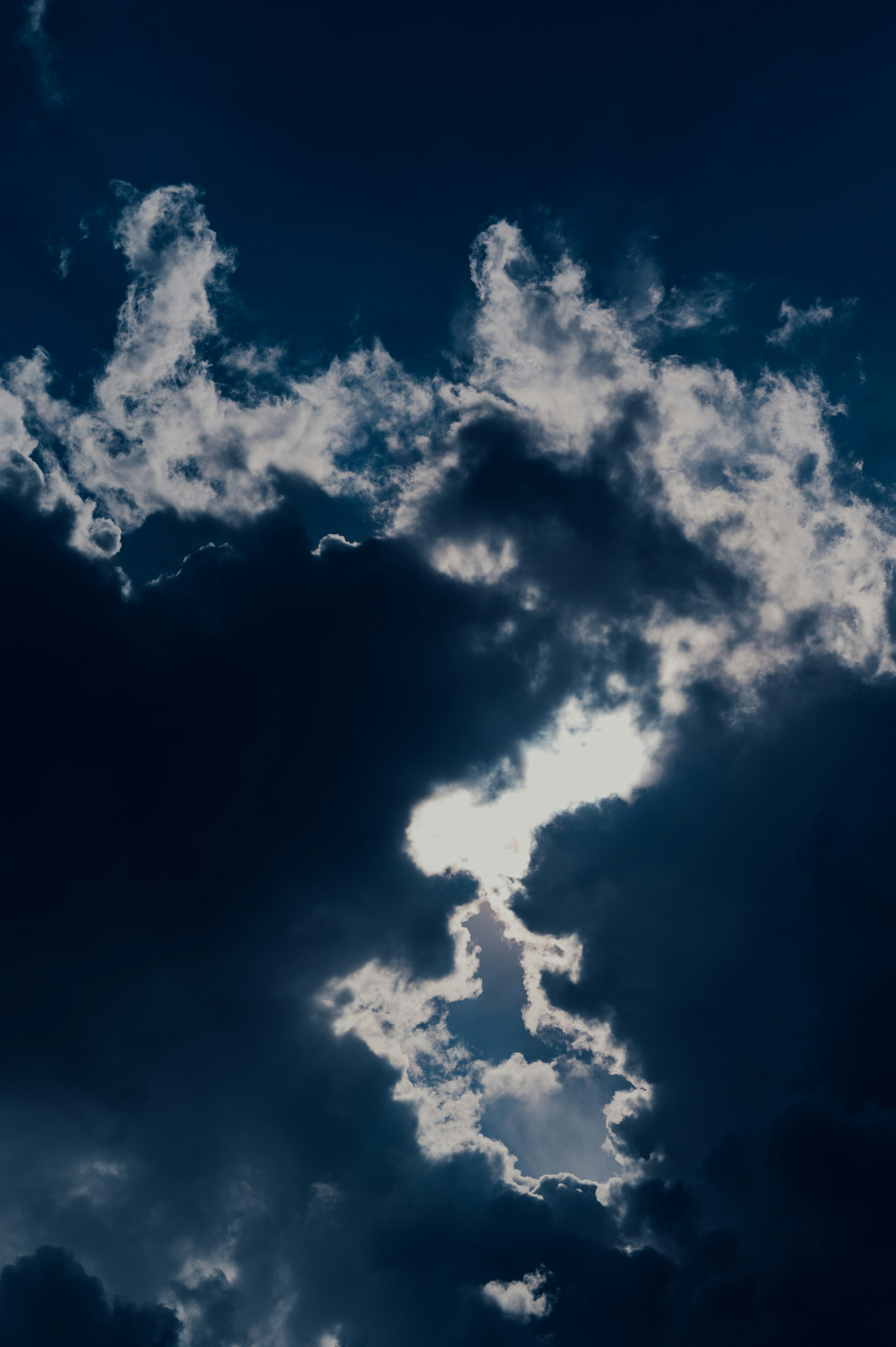 Photo by chuttersnap