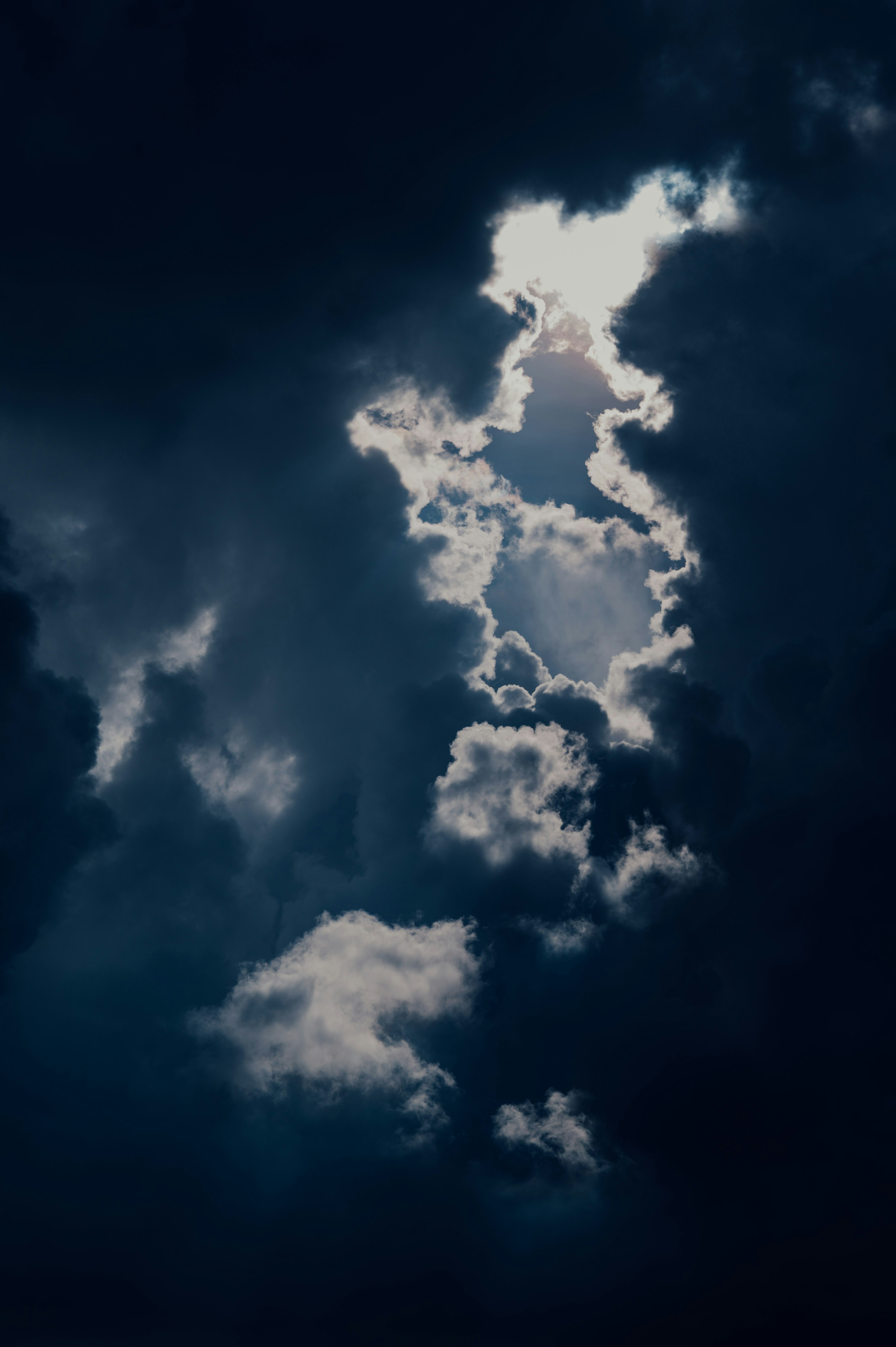 Photo by chuttersnap