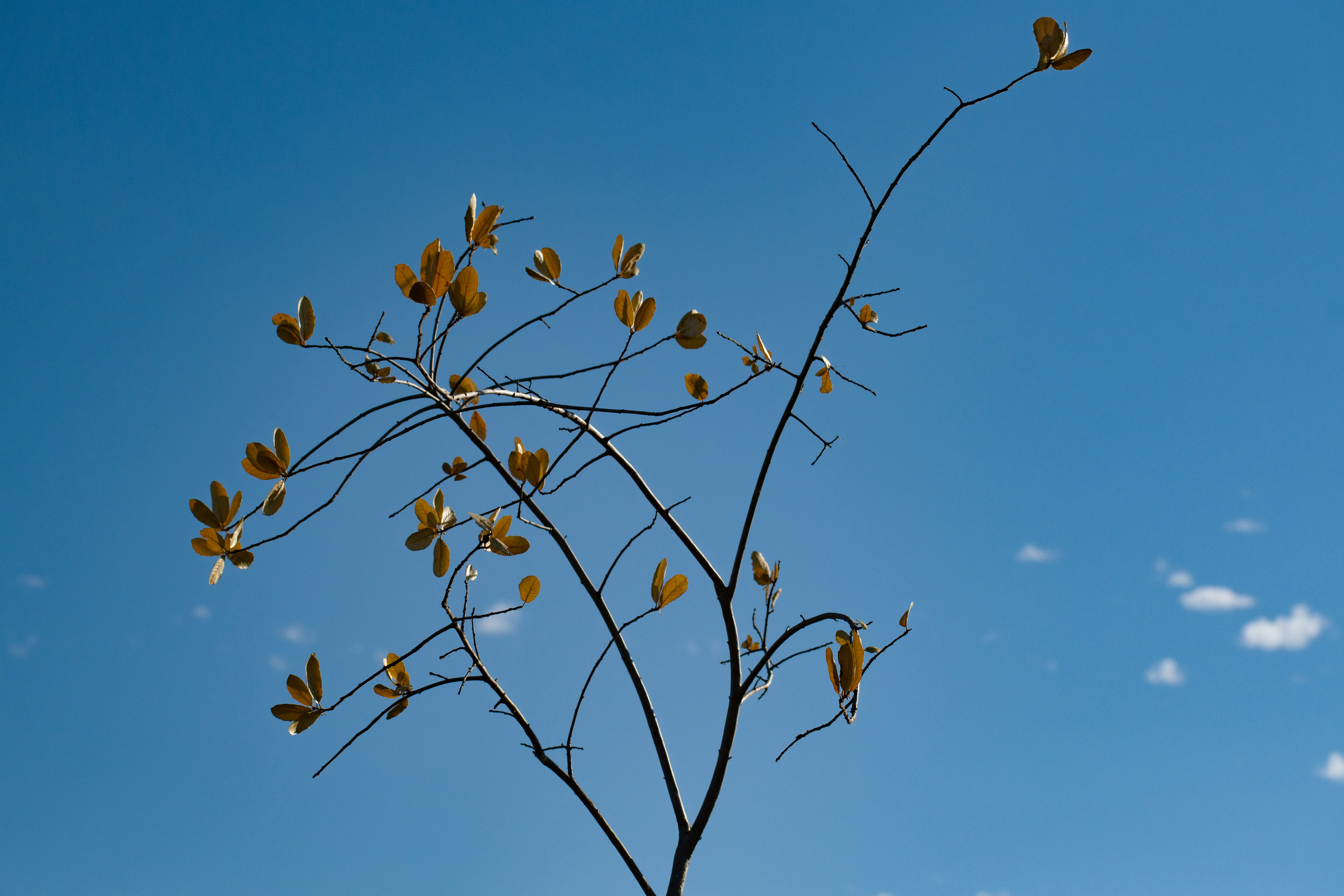 Photo by elisastonephotography