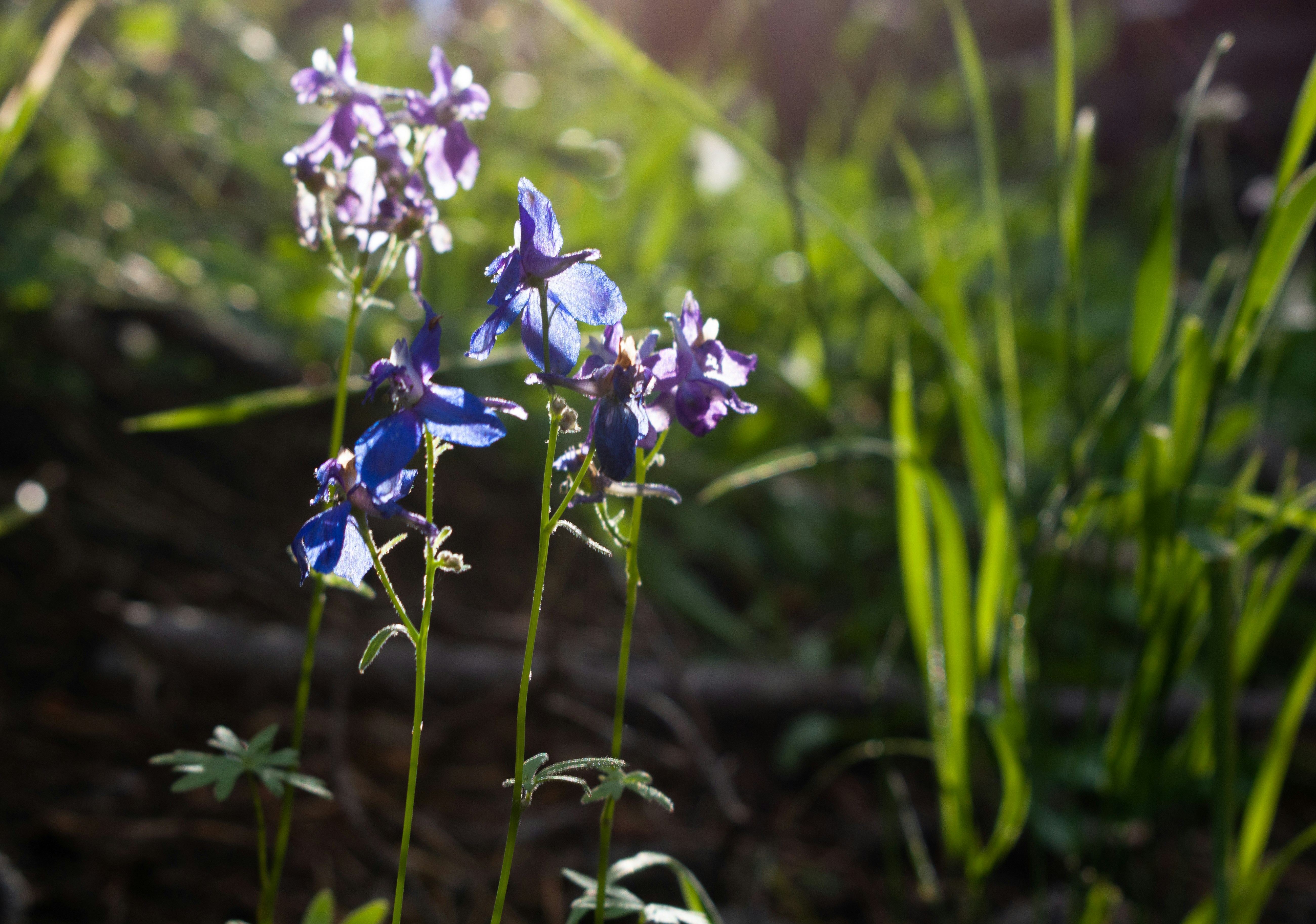 Photo by elisastonephotography