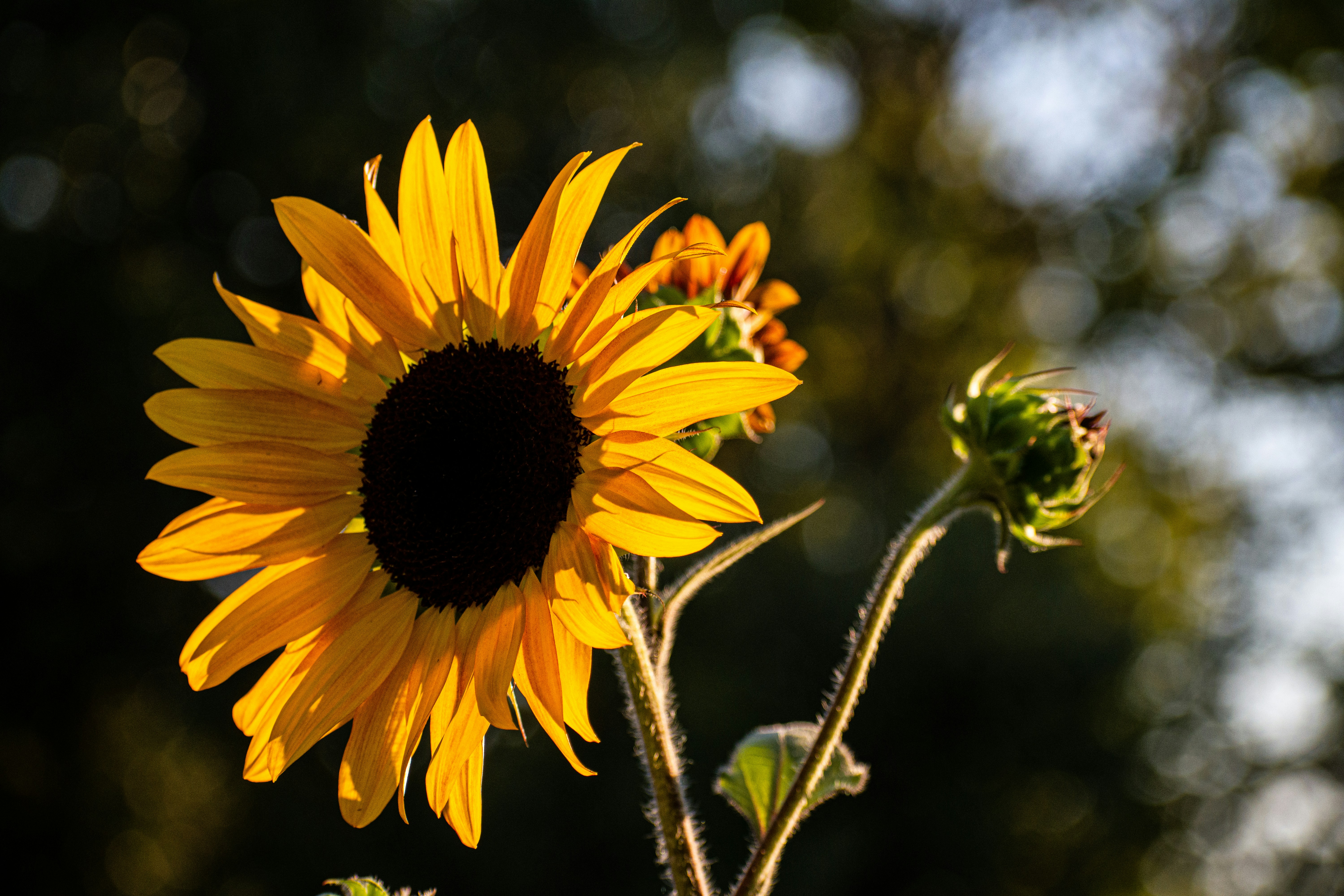 Photo by elisastonephotography