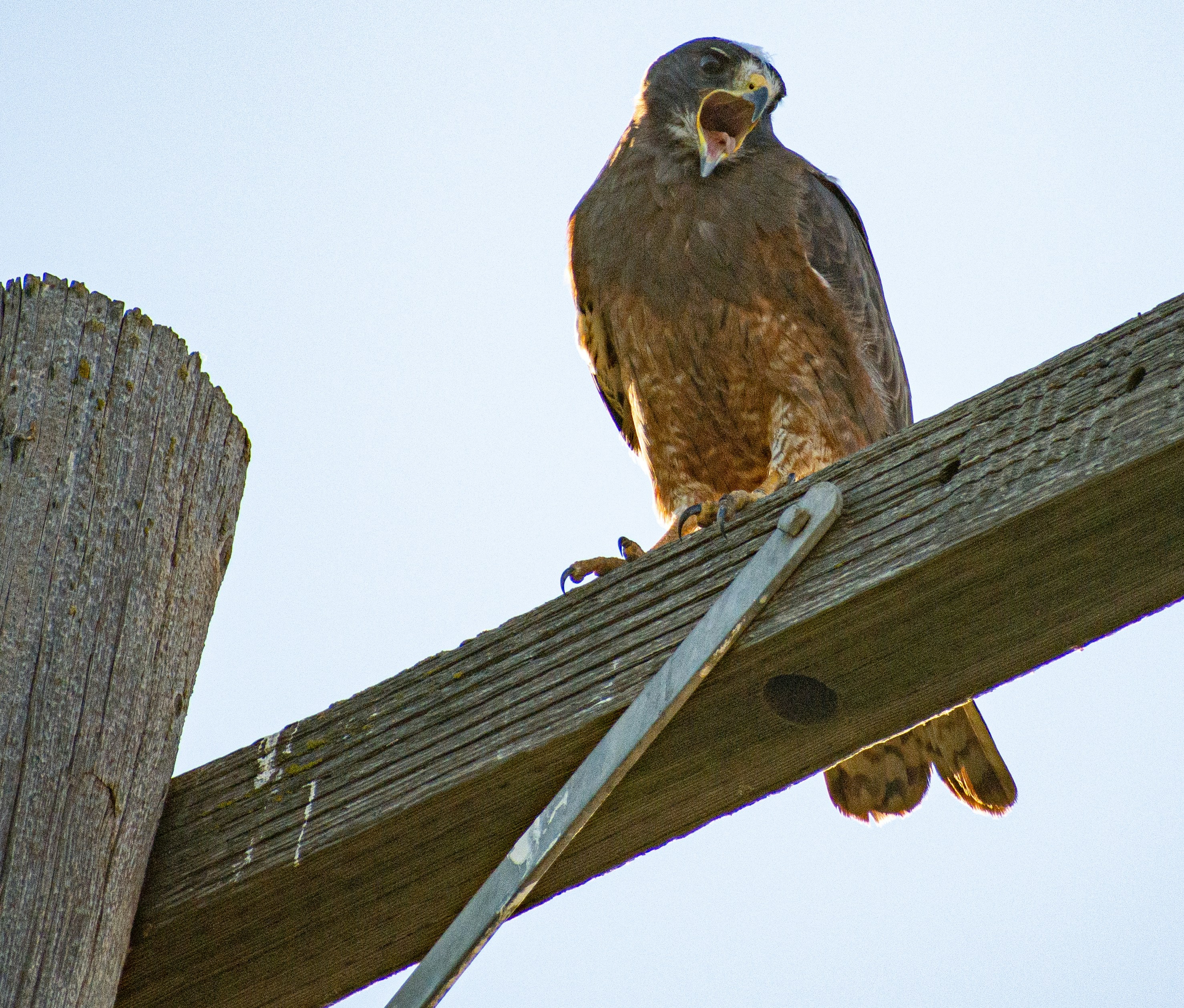 Photo by elisastonephotography