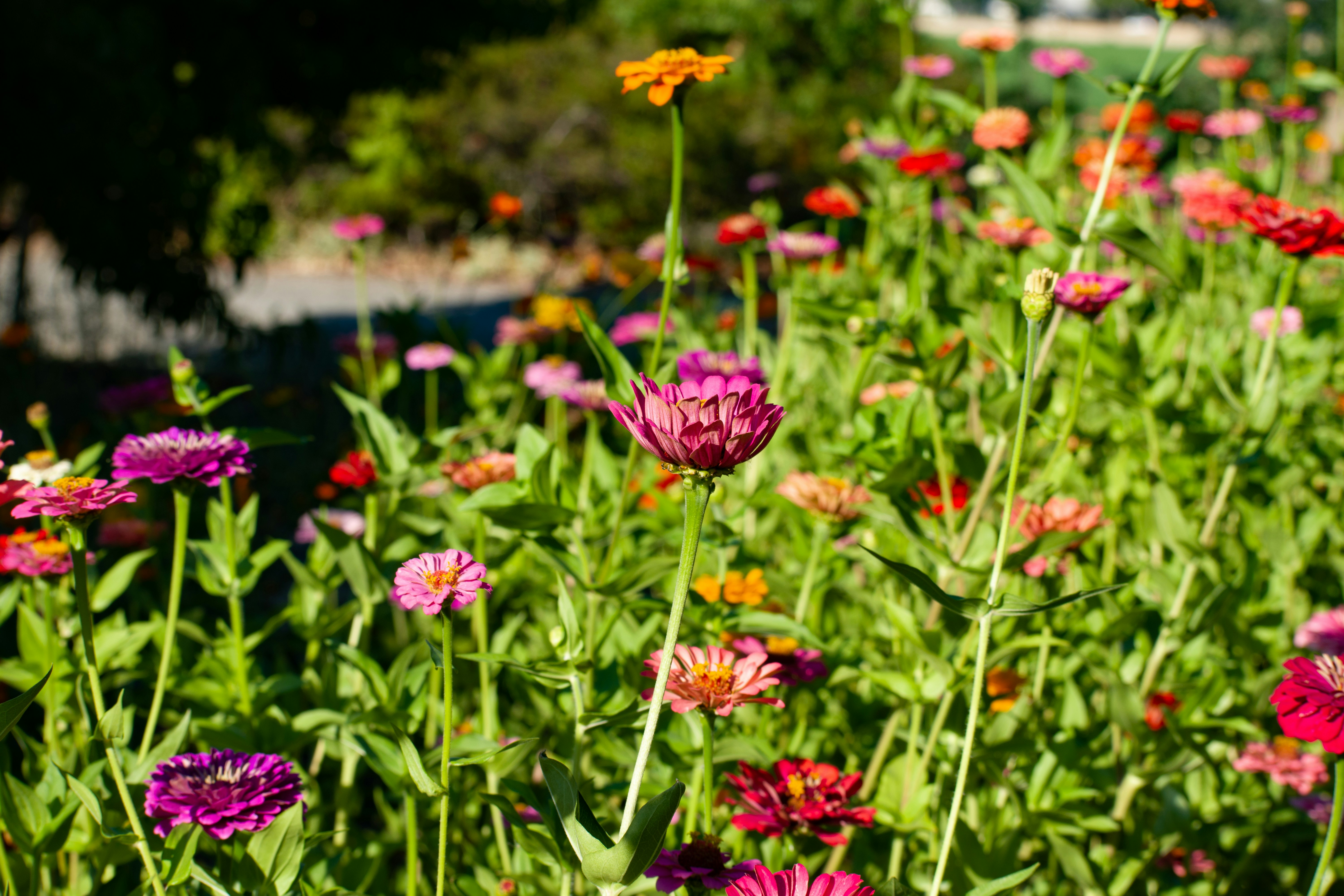 Photo by elisastonephotography