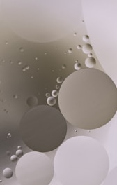 white and gray round wall decor
