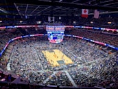 Fans cheering passionately in a packed basketball arena.
