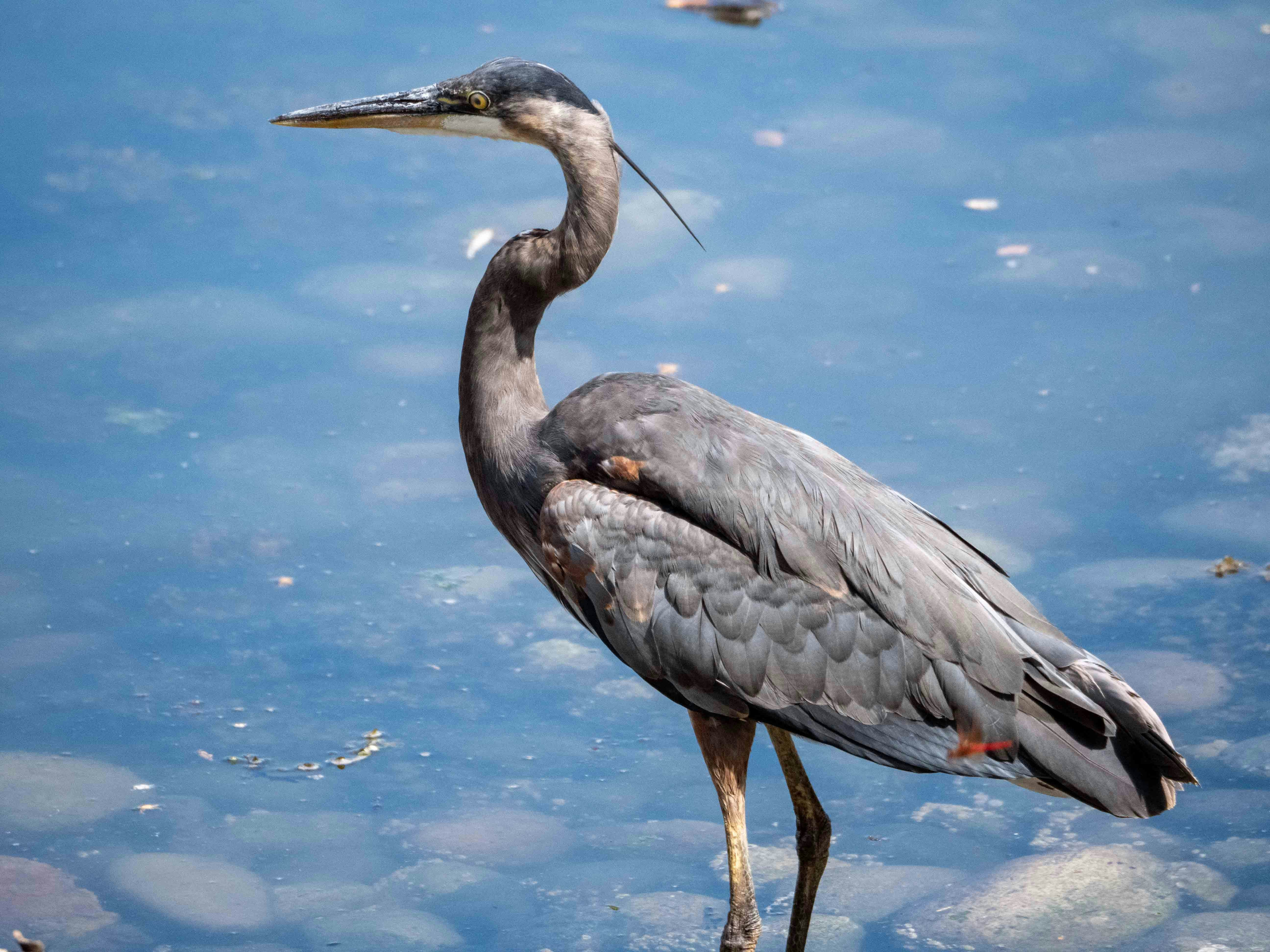 Photo by kieran_wood