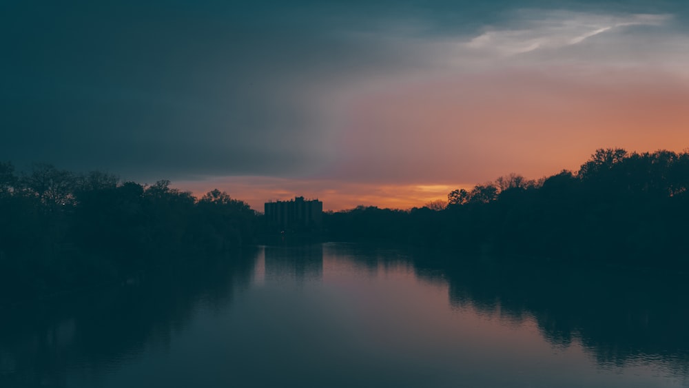 silhouette of trees near body of water during sunset