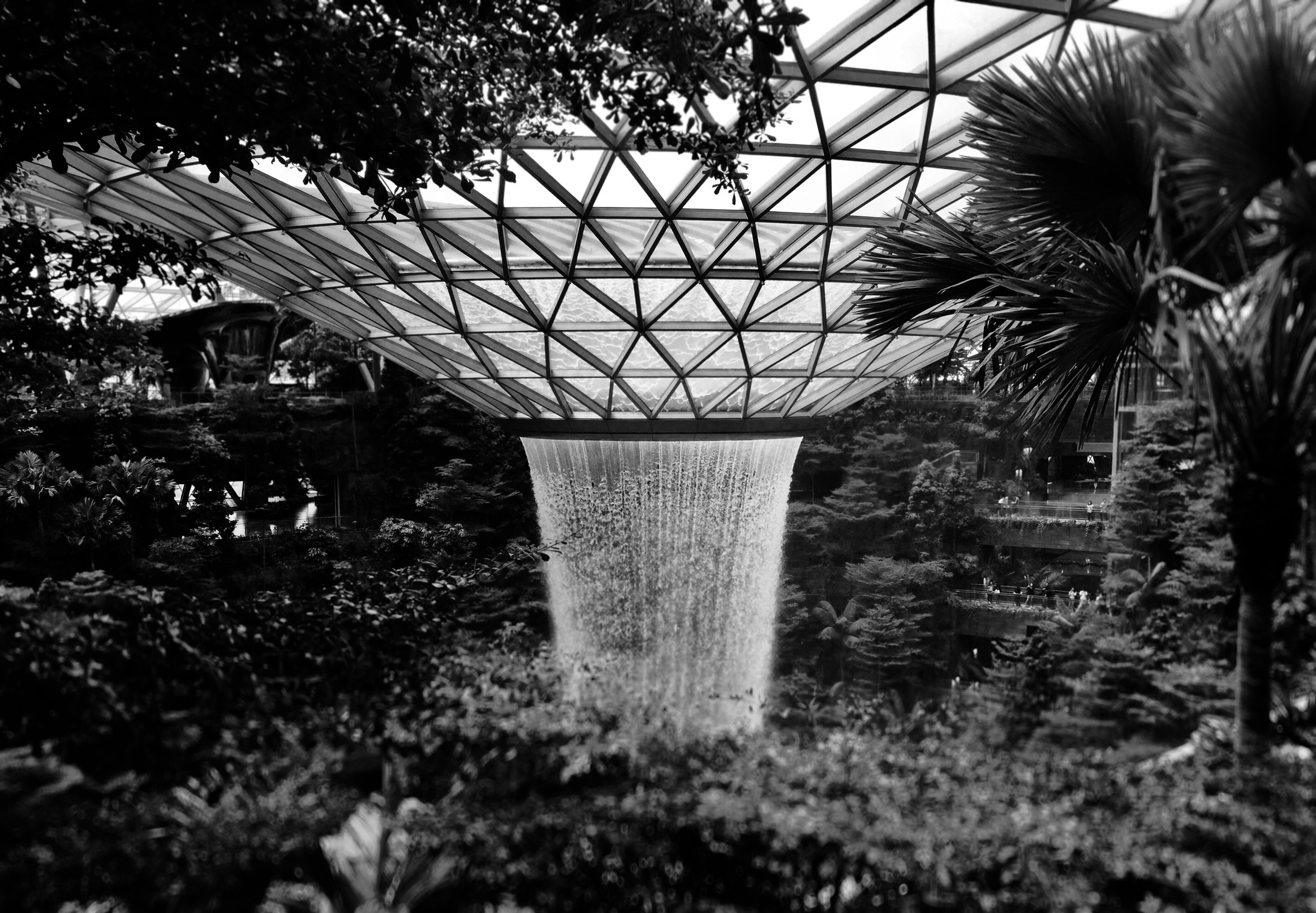 grayscale photo of trees and plants, rain vortex at jewel changi airport, singapore