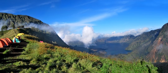 green grass field near mountain under blue sky during daytime in Mount Rinjani Indonesia