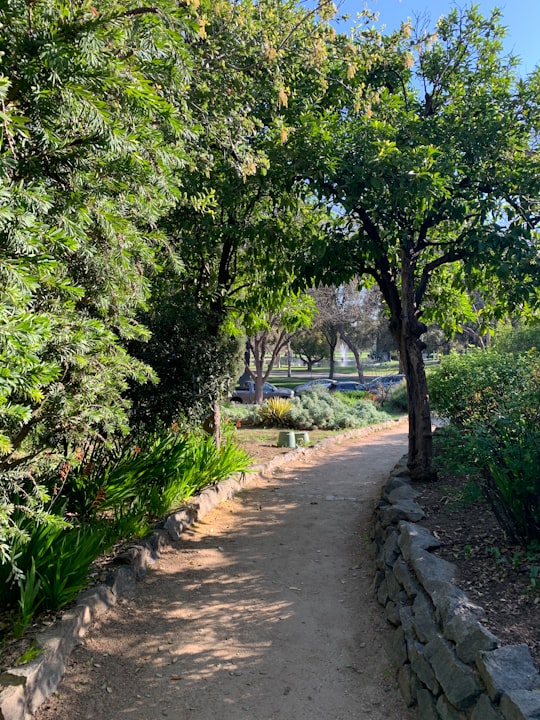 green trees and plants near pathway in Sacramento Zoo United States