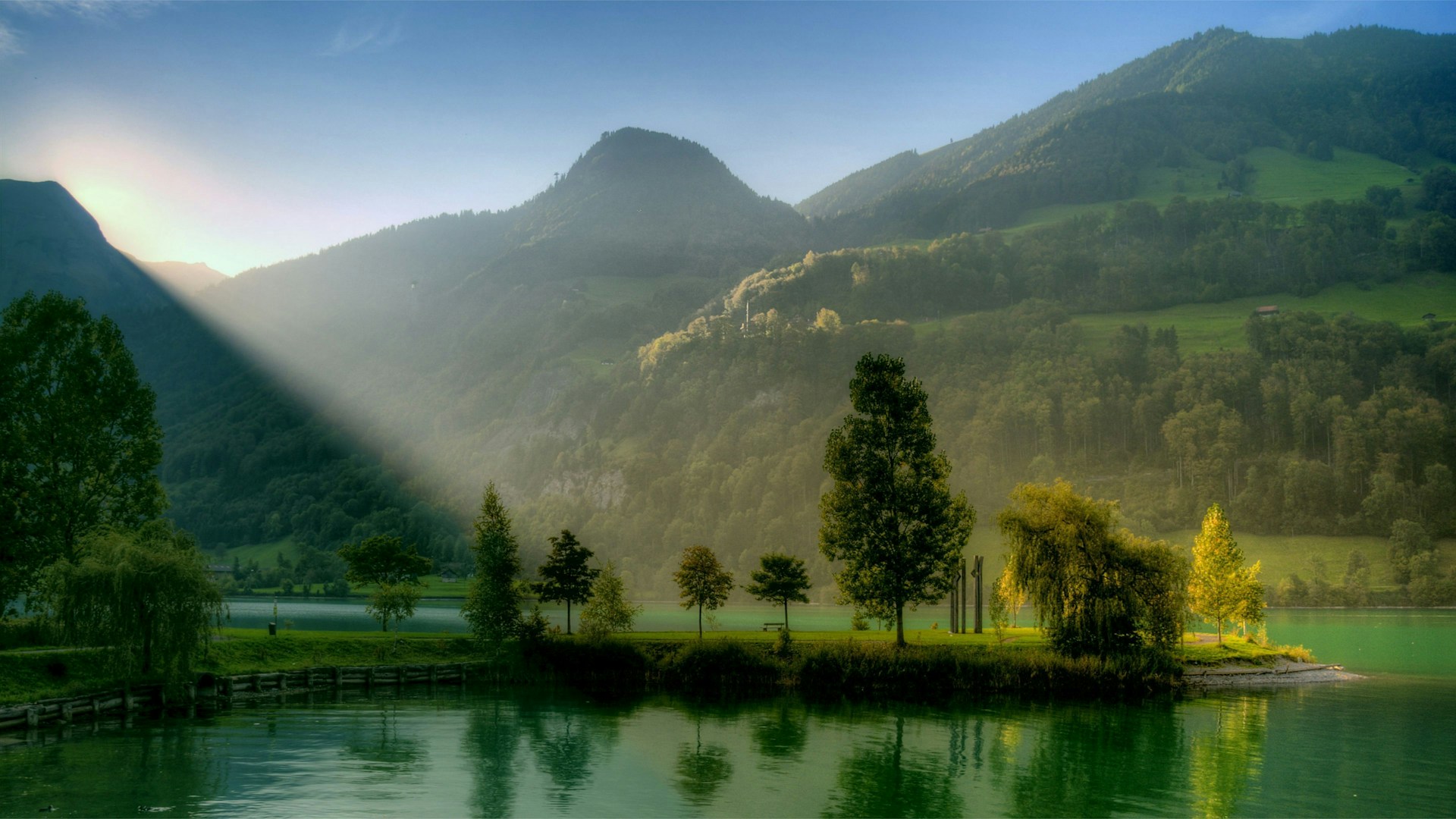 green trees near lake during daytime