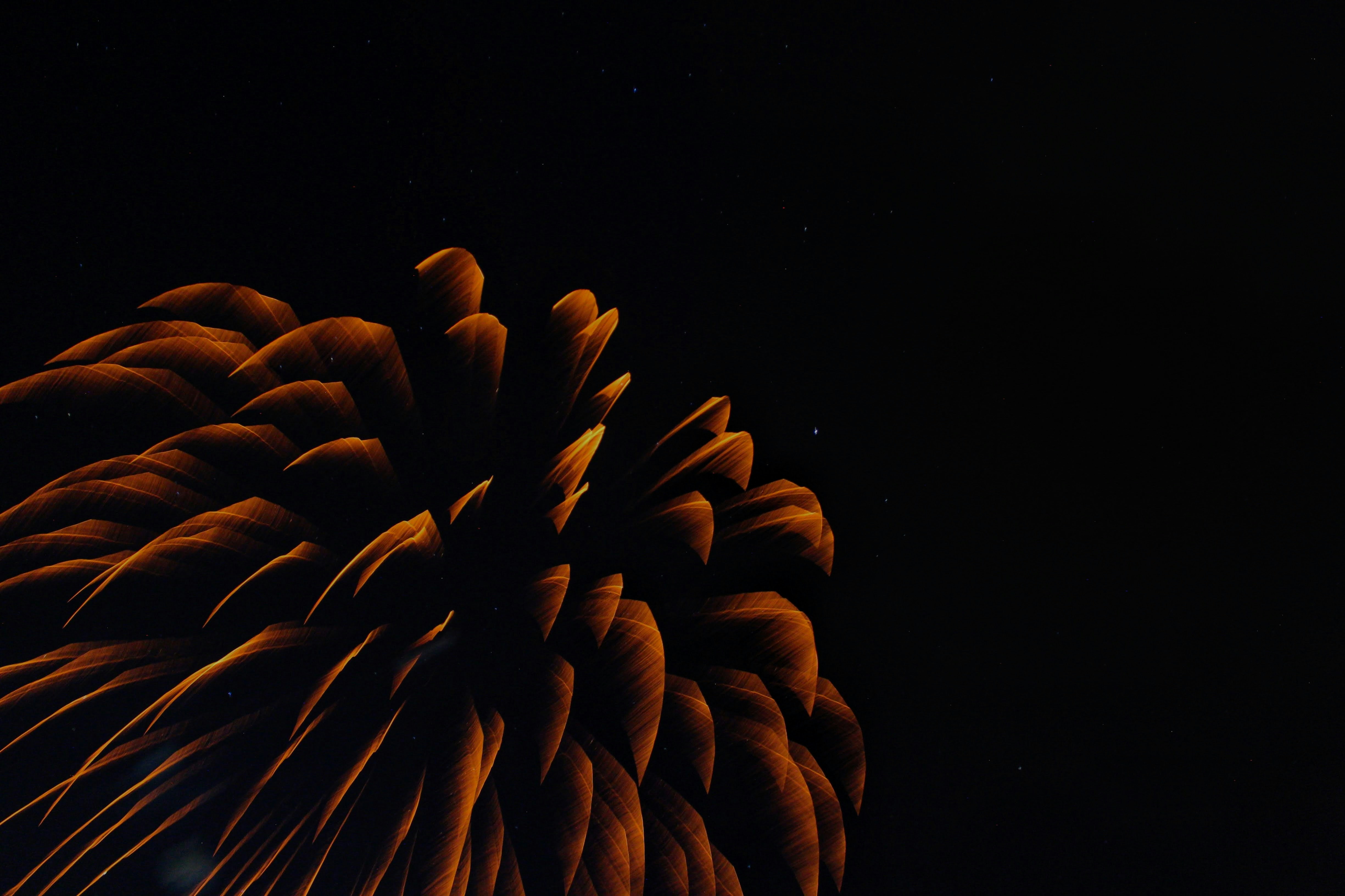 Photo by joshua_hoehne