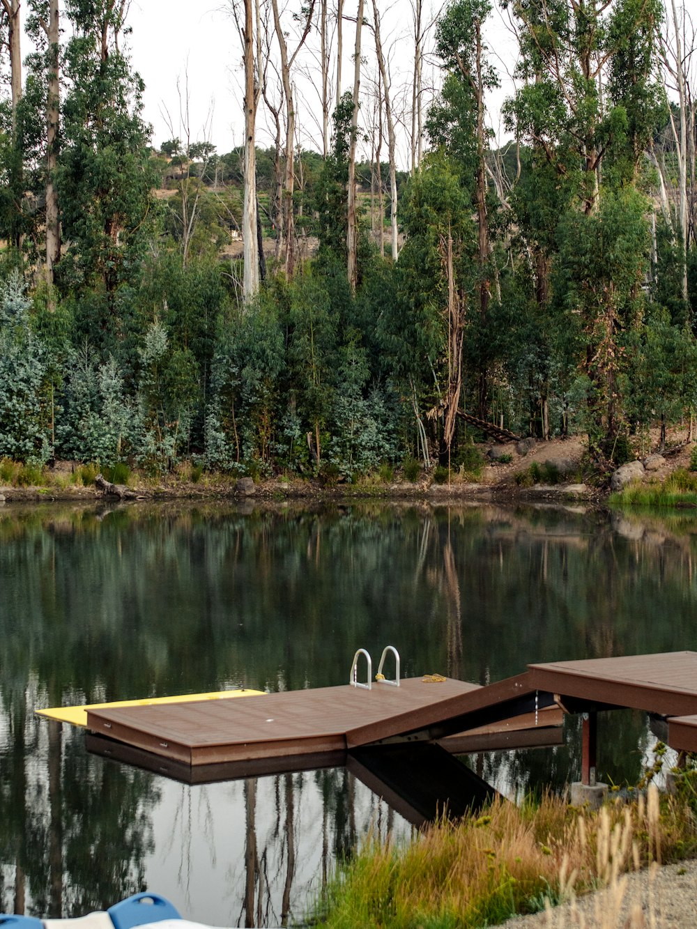 brown wooden dock on lake during daytime