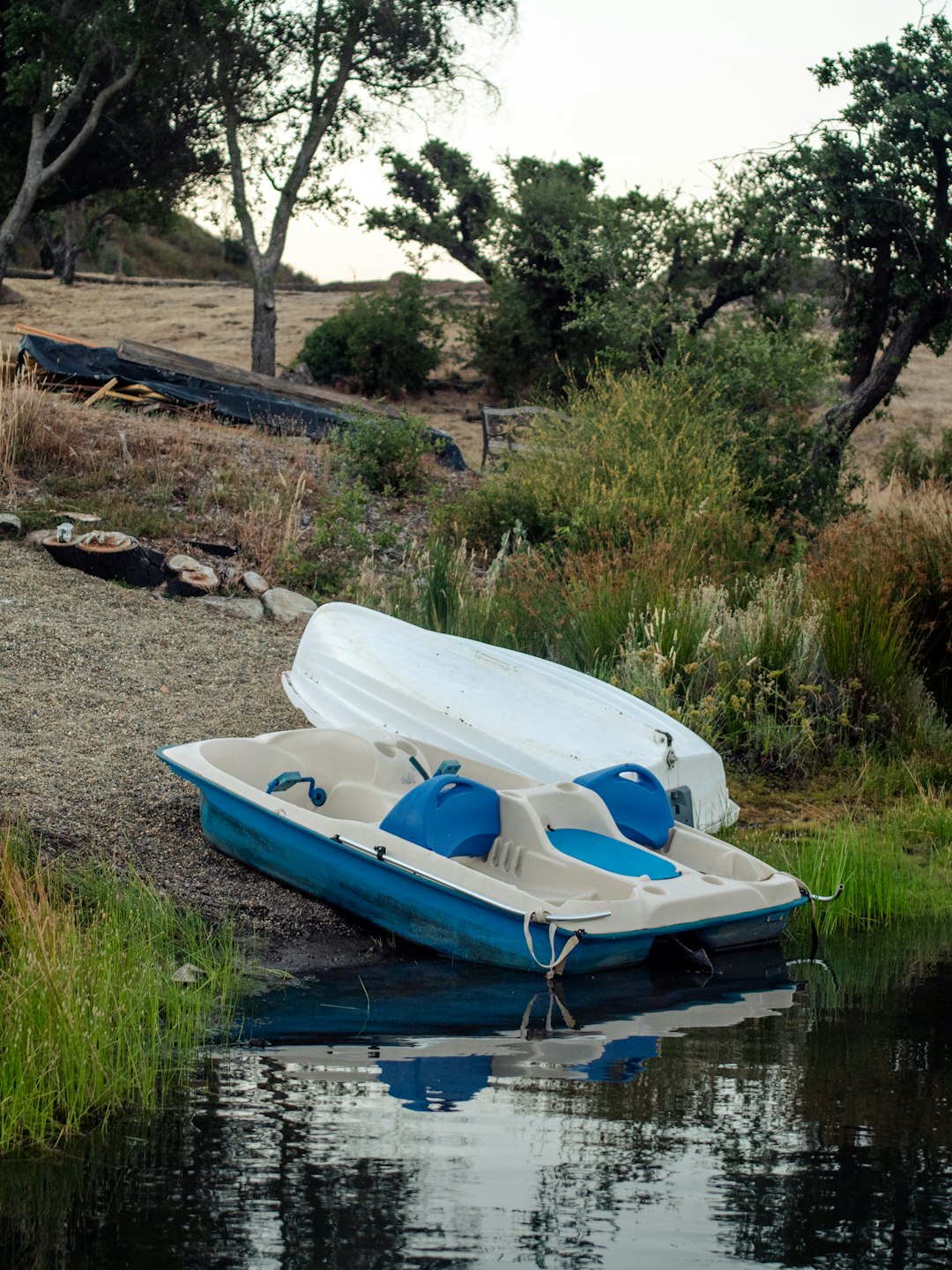 white and blue boat on lake shore during daytime