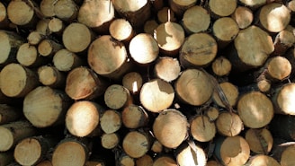 Numerous wooden logs are stacked together, displaying their circular cut ends. The logs vary in diameter and show natural patterns of tree rings. Lighting creates shadows and highlights on the wood surfaces.