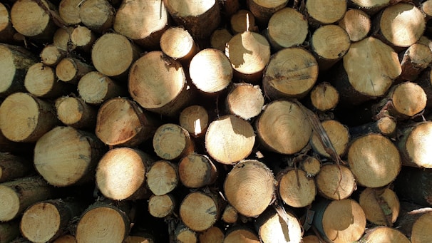 Numerous wooden logs are stacked together, displaying their circular cut ends. The logs vary in diameter and show natural patterns of tree rings. Lighting creates shadows and highlights on the wood surfaces.
