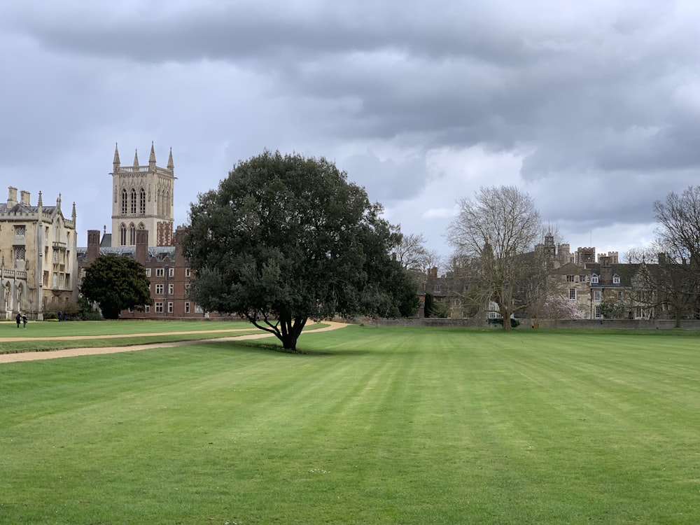 green grass field with trees and white building in distance