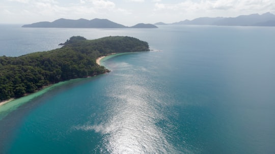 green trees on island during daytime in Koh Chang Thailand