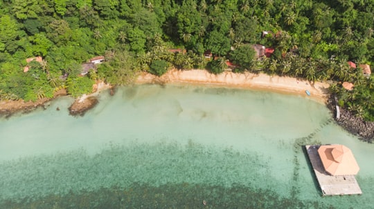 green water near green trees during daytime in Koh Chang Thailand