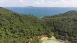 A dense, lush green forest covers the hillside, descending towards a small, isolated beach with turquoise waters. A series of small red-roofed cabins is nestled at the edge of the forest near the coastline. In the distance, a calm sea stretches out to the horizon, with a small island visible far off.